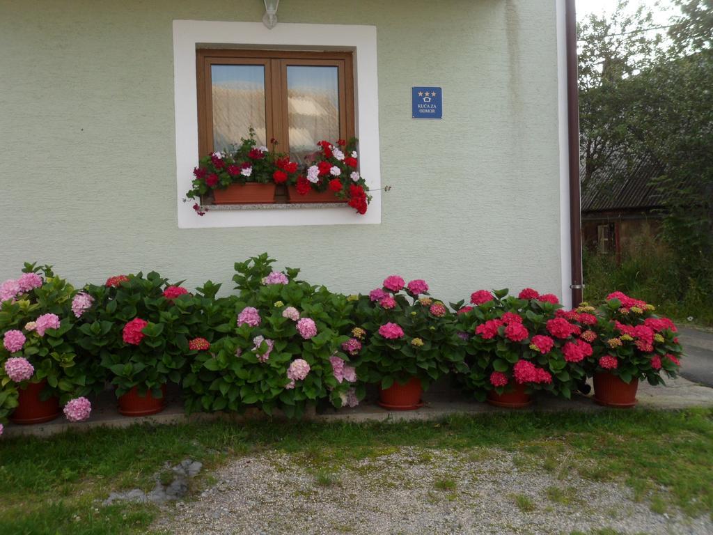 Vacation Home Kuca Za Odmor Krasno Polje Habitación foto